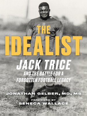 cover image of The Idealist